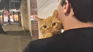 Reprodução / Redes Sociais