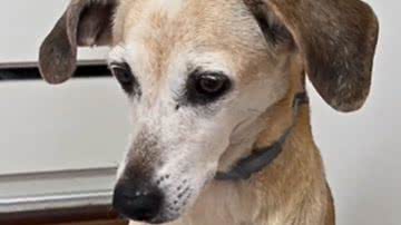 Reprodução / Redes Sociais