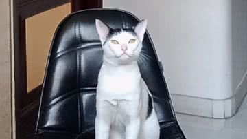 Reprodução / Redes sociais