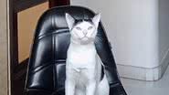 Reprodução / Redes sociais