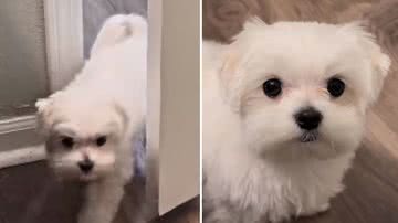 Reprodução / Redes Sociais