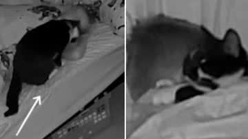 Reprodução / Redes Sociais