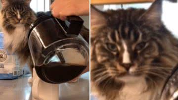 Reprodução / Redes Sociais