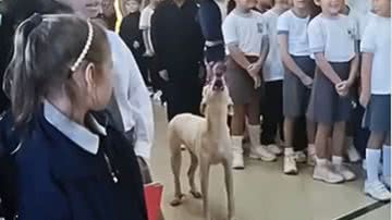 Reprodução / Redes Sociais