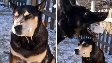 Reprodução / Redes Sociais