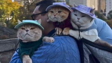 Reprodução / Redes Sociais