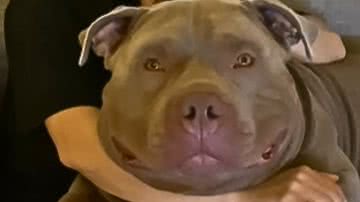 Reprodução / Redes Sociais