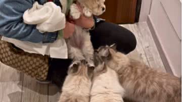 Reprodução / Redes Sociais