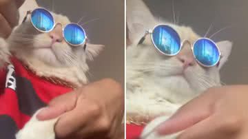 Reprodução / Redes sociais