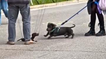 Reprodução / Redes Sociais