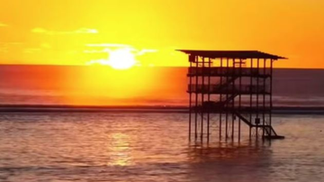 Reprodução/ @timmckenna