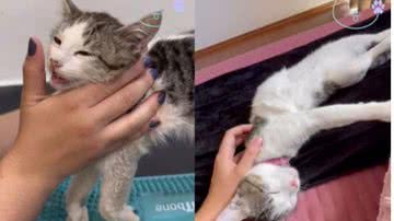 Reprodução / Instagram