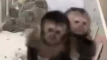 Reprodução/Redes Sociais