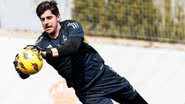 divulgação/ Instagram/ thibautcourtois