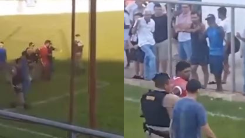 Reprodução