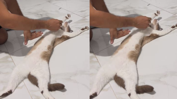 Reprodução/Redes sociais