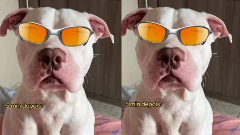 Reprodução/Redes sociais
