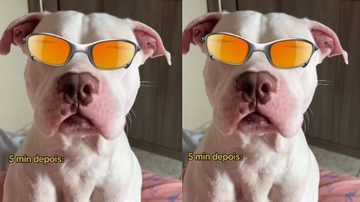 Reprodução/Redes sociais