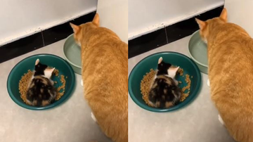 Reprodução/Redes sociais