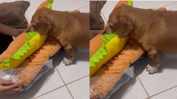 Reprodução/Redes sociais