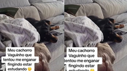 Reprodução/ Redes sociais