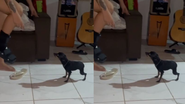 Reprodução/Redes sociais