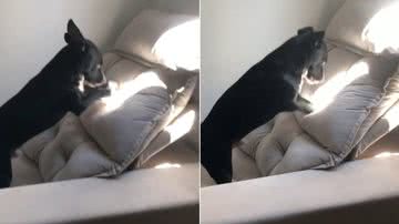 Reprodução / Redes Sociais