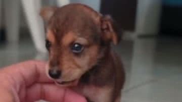 Reprodução/Redes Sociais