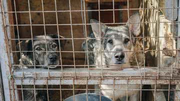 Foto de Sasha Sashina na Unsplash