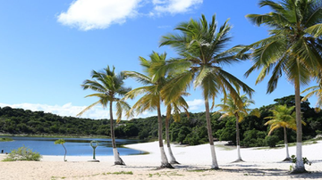 .. - João Raimundo/Ascom Sema