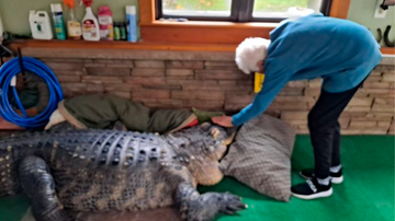 Reprodução/Instagram/@cavallaro966