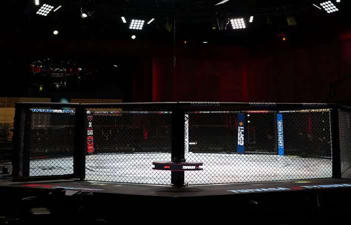 Reporodução/X (@ufc)