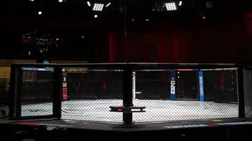 Reporodução/X (@ufc)