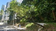 Google Street View