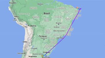 Foto: Flight Radar/Reprodução