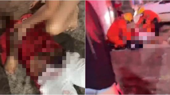 Reprodução/SamambaiaMilGraus/Instagram