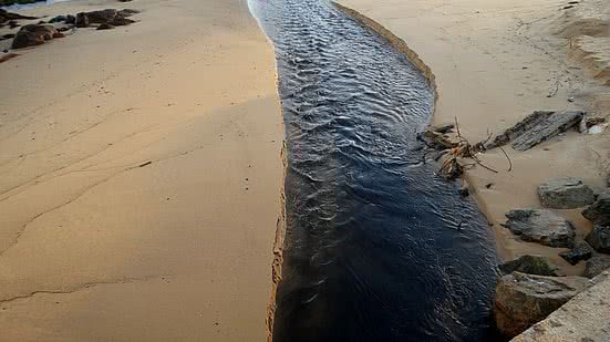 Reprodução / Colabora