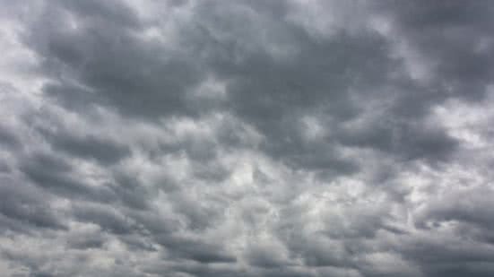 Divulgação / Freepik