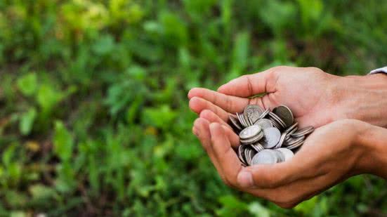 Divulgação / Freepik