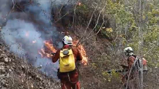 Reprodução / Bombeiros
