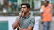 César Greco/Palmeiras