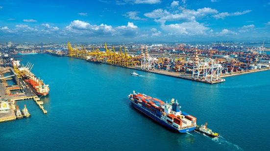 Divulgação / Freepik