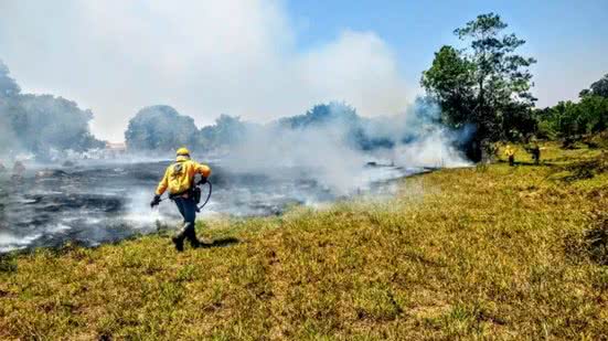 Ilustrativa | Instituto Brasília Ambiental