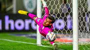 Foto: @photompanda / América