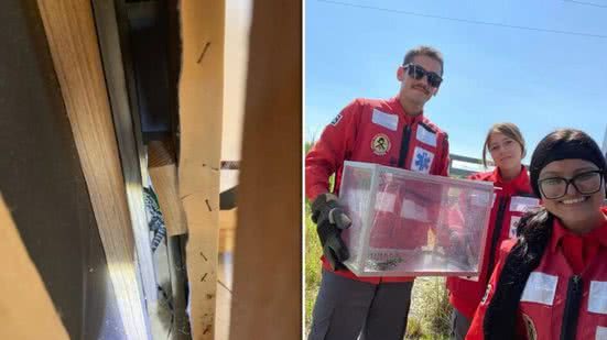 Divulgação l Bombeiros Voluntários de Balneário Barra do Sul