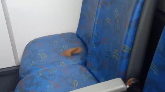 Reprodução / Divulgação