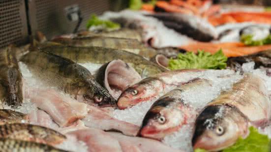 Divulgação / Freepik