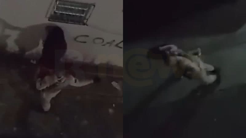 https://www.bnews.com.br/media/_versions/marco_2025/pmportoseguro_reproducaoredes_sociais_widelg.jpg