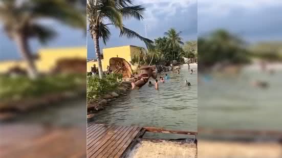 Reprodução