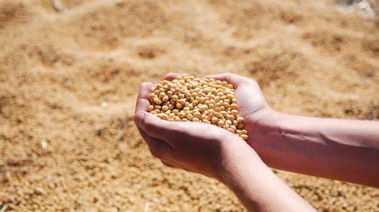 Divulgação / Pixabay